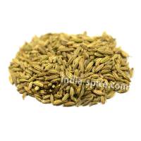 ̳ եͥ륷 (500g) Fennel seeds