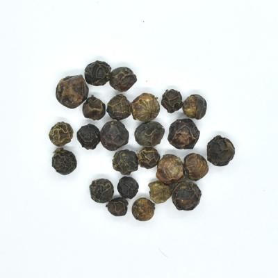 ブラックペッパー ホール Black Pepper Whole 25g インディア スパイス Com By ジュンコ貿易 神戸 北野町 ブラックペッパー ホール Black Pepper Whole 25g インディア スパイス Com By ジュンコ貿易 神戸 北野町