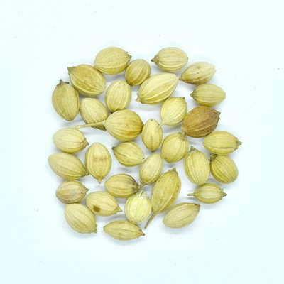 ꥢ  Coriander Seed (25g)
