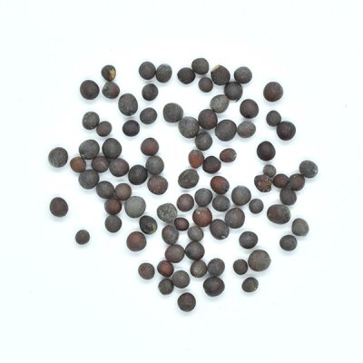 マスタード シード (ブラウン) Mustard Seed (Brown) (30g)