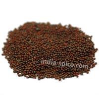̳ ޥɥɥ֥饦 (1kg) Mustard seeds (brown)
