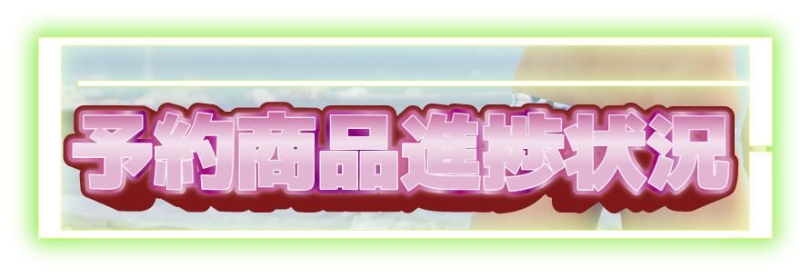 □新品□送料無料□SURFBLADE□透け□競パン□ビキニ□サイズ