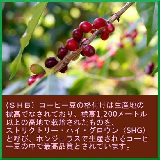 ホンジュラス SHG 無農薬無化学肥料栽培 Qグレード【500g
