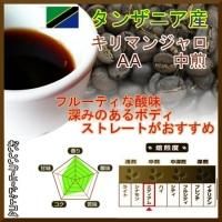 リベリカコーヒー100g リベリカ種マレーシア産オリジン【100g】コーヒー豆 豆のまま
