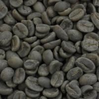 生豆セット 商品検索 - 【014151.com】おいしいコーヒードットコム
