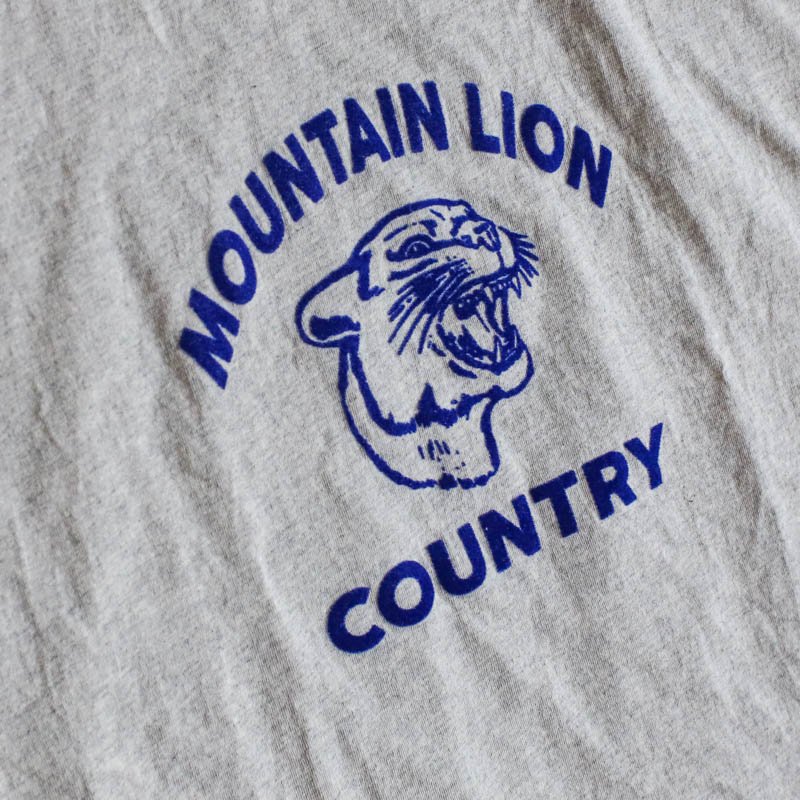 Mountain LionAsh

