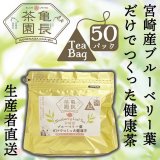 宮崎産ブルーベリー葉だけでつくった健康茶（50パック）農薬不使用、ラピッドアイ種100%使用、亀長茶園より直送
