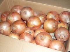 原山農園の淡路島玉ねぎ 10kg 農家とダイレクト 農家運営のネットショップ 新鮮野菜 米 卵 等直送します