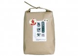 （早期米）令和4年産新米コシヒカリ　宮崎県産　乾式無洗米　農家からの直送米（令和4年7月末収穫）5kg