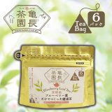 宮崎産ブルーベリー葉だけでつくった健康茶（6パック）農薬不使用、ラピッドアイ種100%使用、亀長茶園より直送