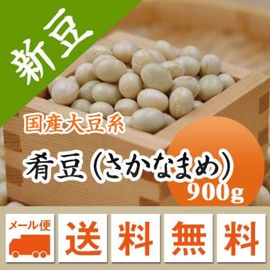ちー 小豆5kg 肴豆900g メール便送料無料】【令和6年産】宮城県産 肴豆（さかなまめ
