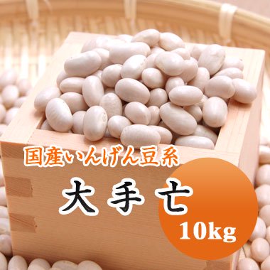 【令和４年産】北海道産 大手亡（白いんげん）（10kg） - 豆 通販