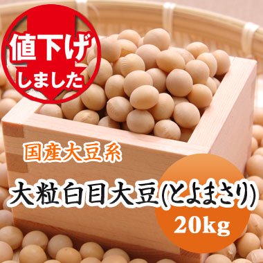 【令和４年産】北海道産大粒白目大豆（とよまさり）（20kg） - 豆 ...