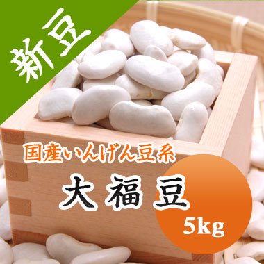 【令和４年産】北海道産　大福豆（5kg） - 豆 通販【豆平 まめへい】丹波 黒豆 大豆 小豆 ひよこ豆 レンズ豆の問屋販売