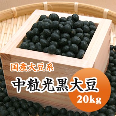 令和４年産】北海道産 中粒光黒大豆（20kg） - 豆 通販【豆平 まめへい