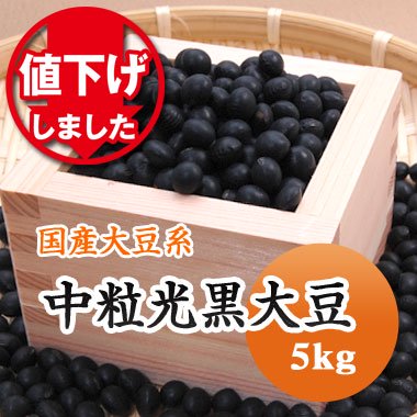 【令和４年産】北海道産　中粒光黒大豆（5kg） - 豆 通販【豆平 まめへい】丹波 黒豆 大豆 小豆 ひよこ豆 レンズ豆の問屋販売