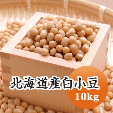 【令和４年産】北海道産白小豆（10kg） - 豆 通販【豆平 まめへい】丹波 黒豆 大豆 小豆 ひよこ豆 レンズ豆の問屋販売