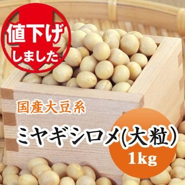 令和5年産　宮城県産 大豆 ミヤギシロメ　大粒　 30kg Amazon.co.jp: 国産 大豆 【令和6年産】 宮城県産 ミヤギシロメ
