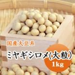 ミヤギシロメ（大粒） - 豆 通販【豆平 まめへい】丹波 黒豆