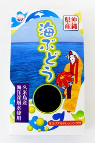 沖縄県産 海ぶどう プチプチの海ぶどうは沖縄のおみやげに最適