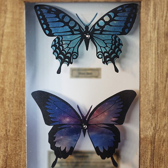 蝶標本箱オブジェ（2匹入り） - 海福雑貨通販部