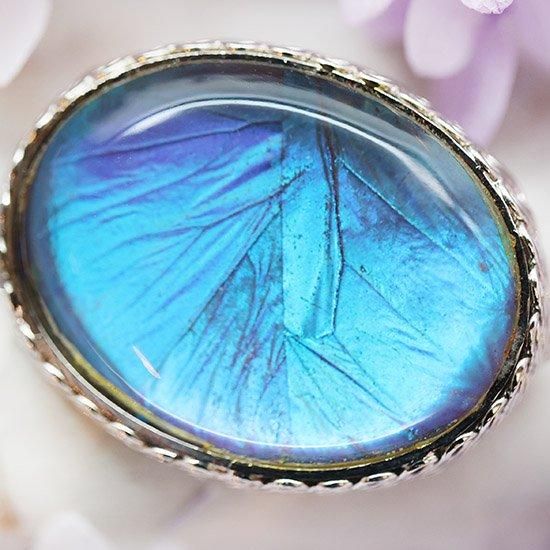 モルフォ蝶のオーバル型ブローチ - 海福雑貨通販部