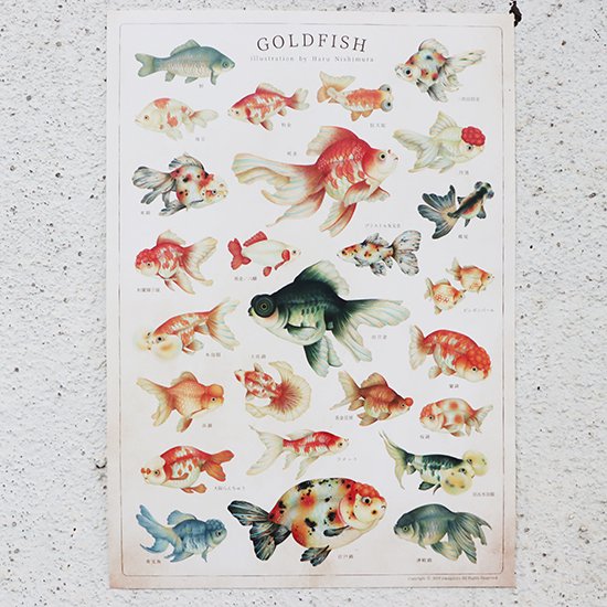 B4ポスター「GOLD FISH」- 海福雑貨通販部