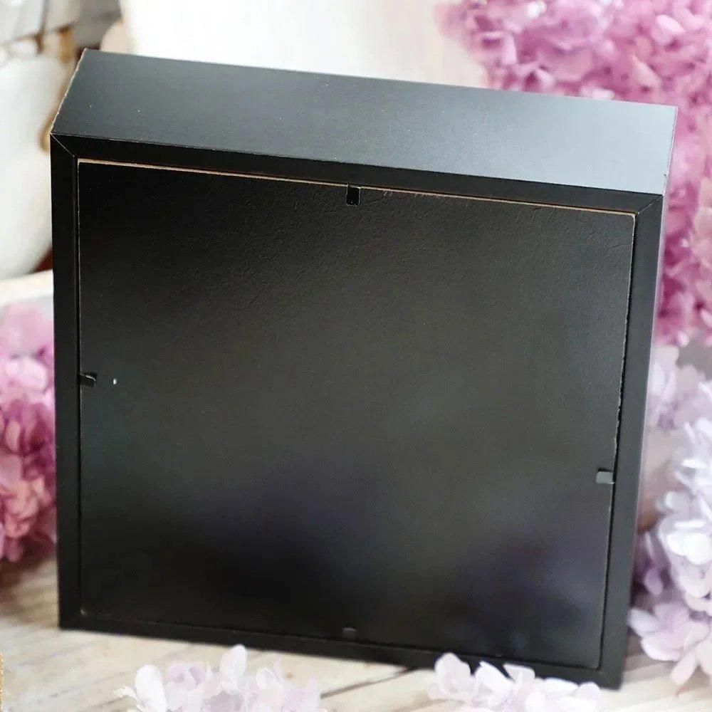 蝶標本「キプリスモルフォ」 - 海福雑貨通販部