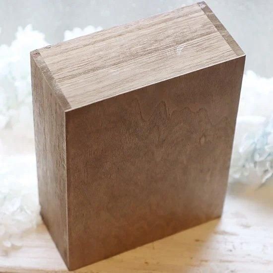 蝶標本「エガモルフォ」- 海福雑貨通販部