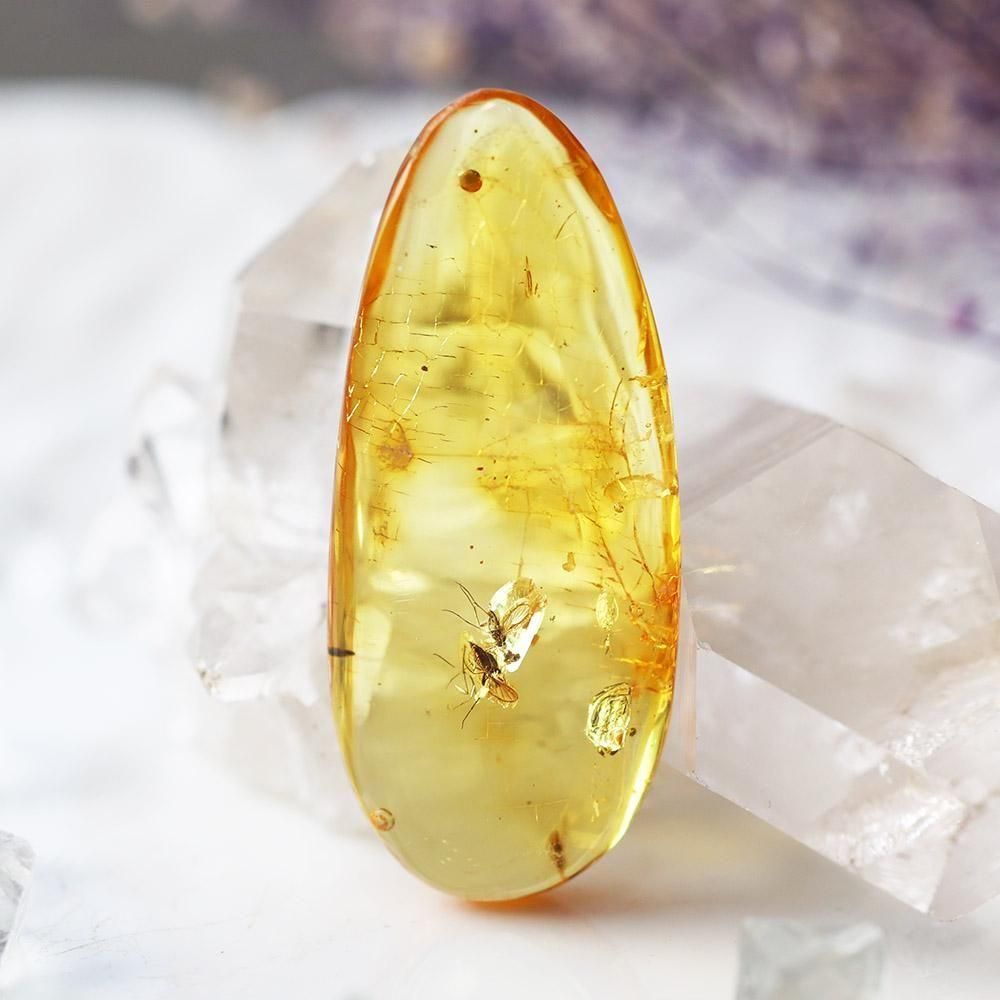 【鉱物標本】虫入り琥珀 リトアニア産 虫入り琥珀アンバーInsects in Amberリトアニア産Balttic Sea