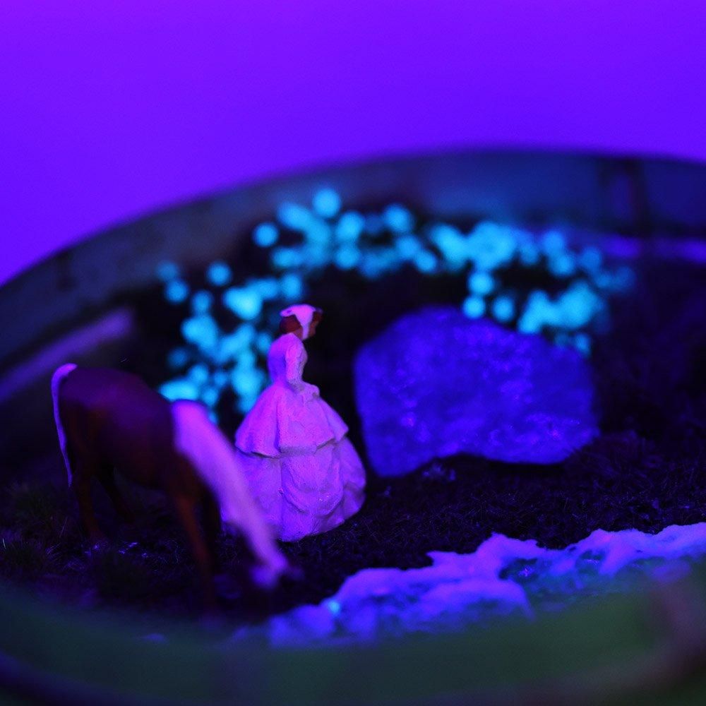 QUANONジオラマ紫 鉱物ジオラマケース「わたしの秘密」- 海福雑貨通販部