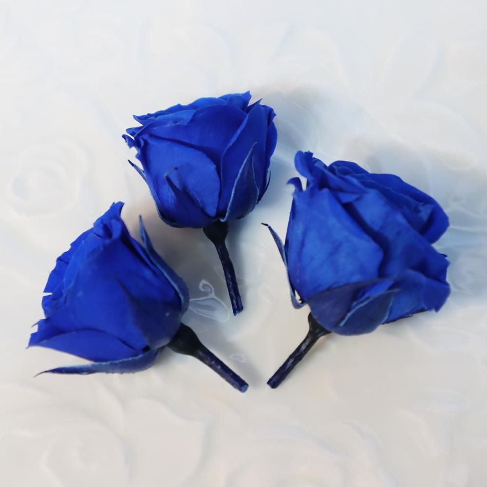 青薔薇3輪セット - 海福雑貨通販部 青薔薇3輪セット - 海福雑貨通販部