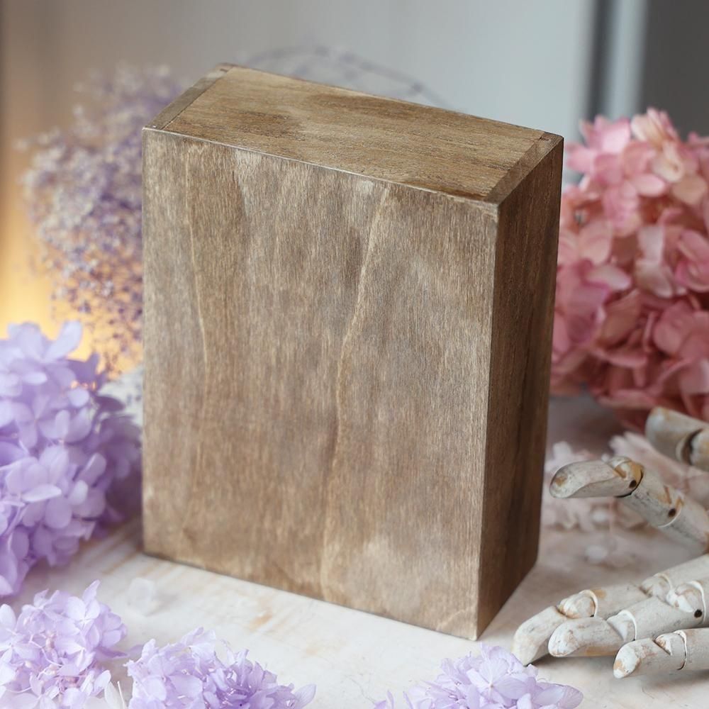 ヒメオオルリアゲハ ♂♀標本 77/78mm ★ニューカレドニア産★野外大型標本 ヒメオオルリアゲハ ♂♀標本 77/78mm ☆ニューカレドニア産