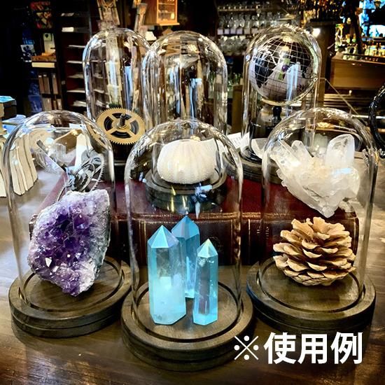 木製台座の硝子ミニドーム - 海福雑貨通販部