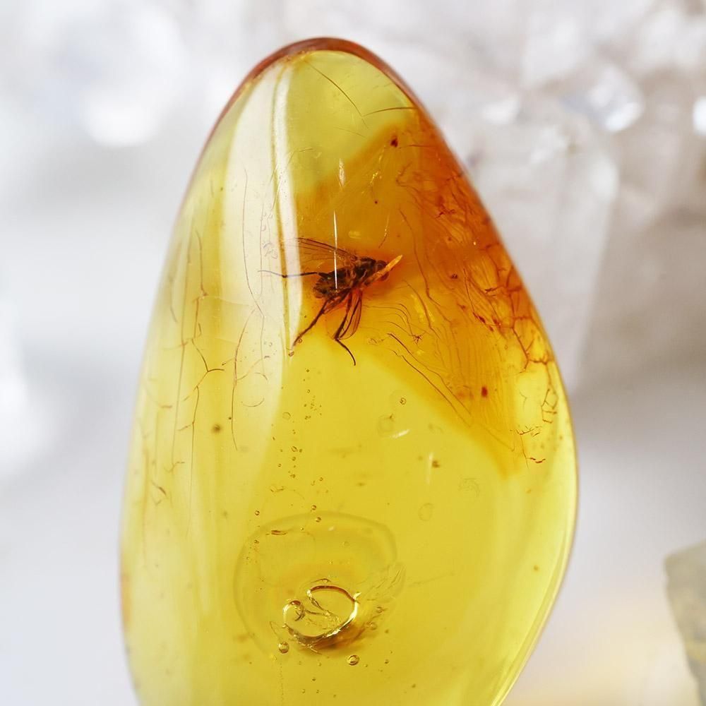 【鉱物標本】虫入り琥珀 リトアニア産 虫入り琥珀アンバーInsects in Amberリトアニア産Balttic Sea