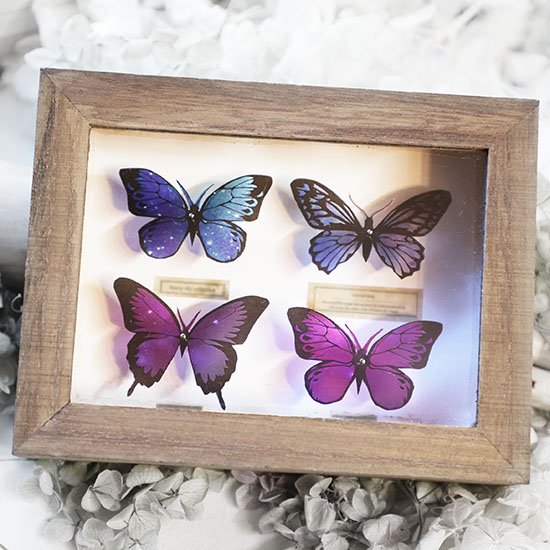 切り絵原画【切り絵】紫蝶の標本