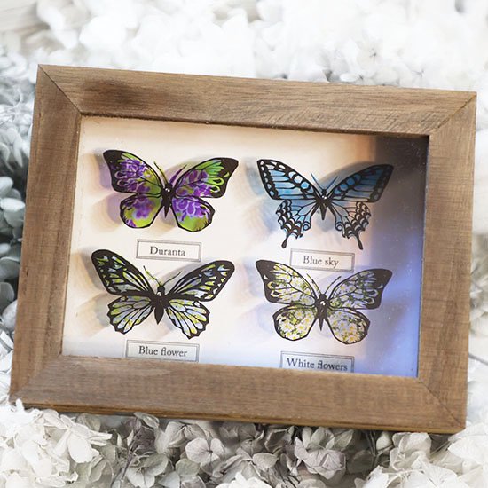 蝶標本箱オブジェ（4匹入り） - 海福雑貨通販部