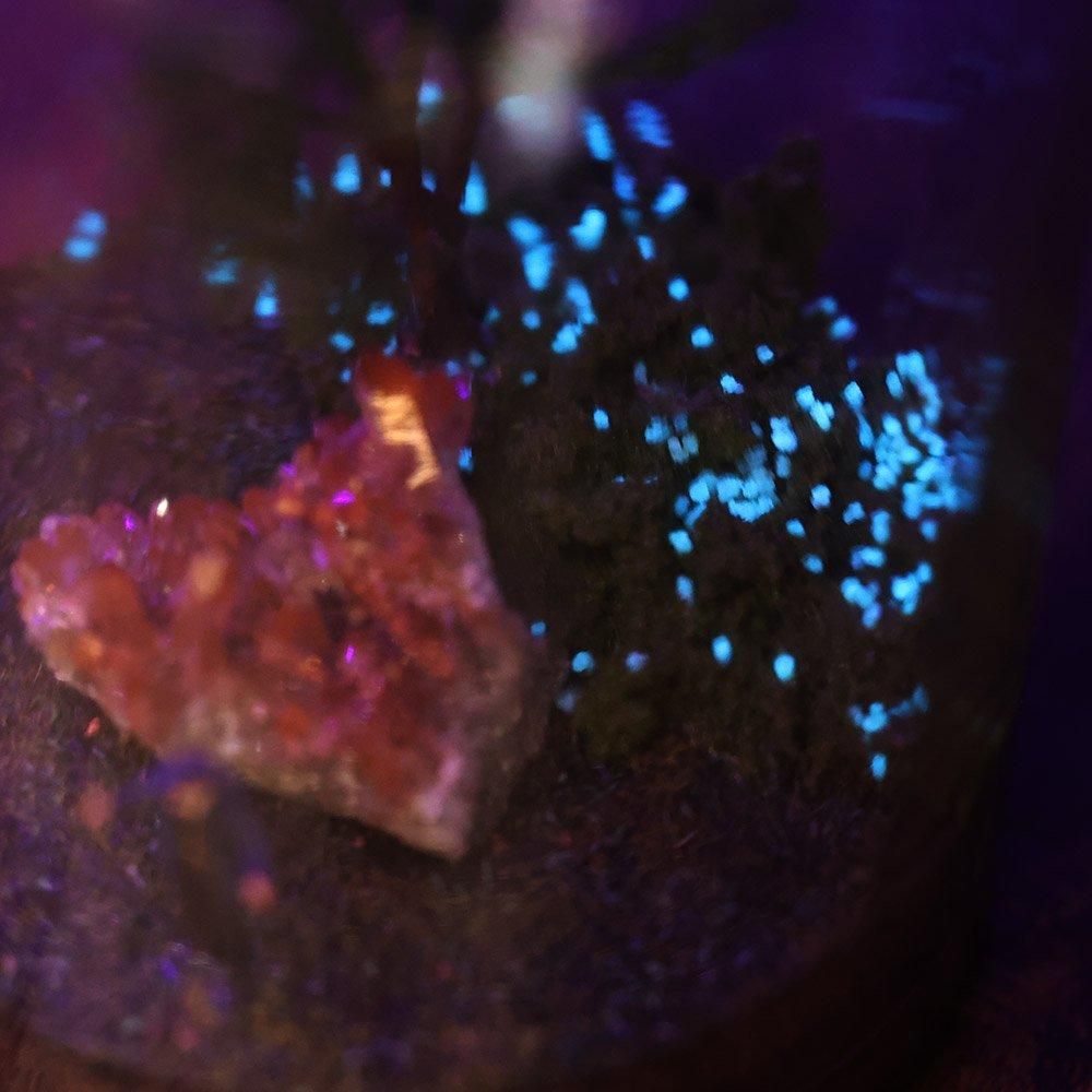 鉱物ジオラマ瓶（薬瓶・特大）「森の駅」- 海福雑貨通販部