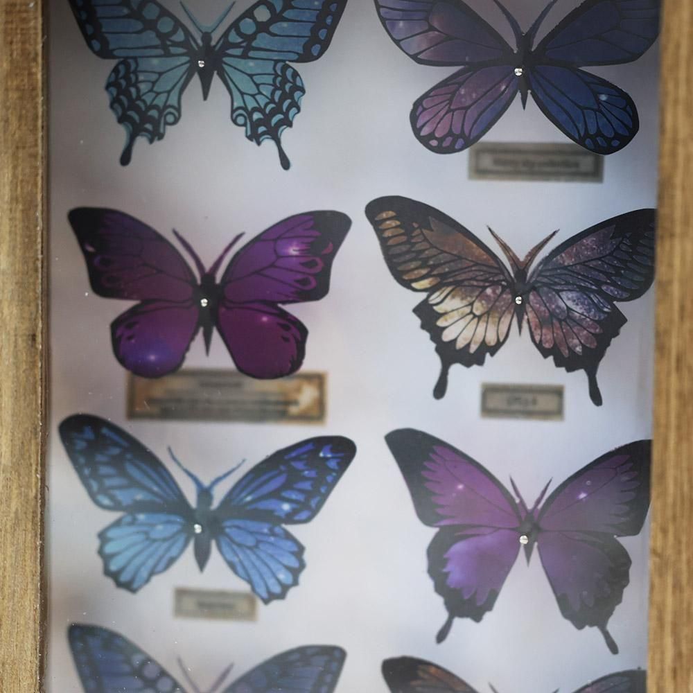 蝶標本箱・星空コレクション（8匹入り）-4 - 海福雑貨通販部