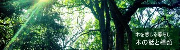 木を感じる暮らし　木の話と種類