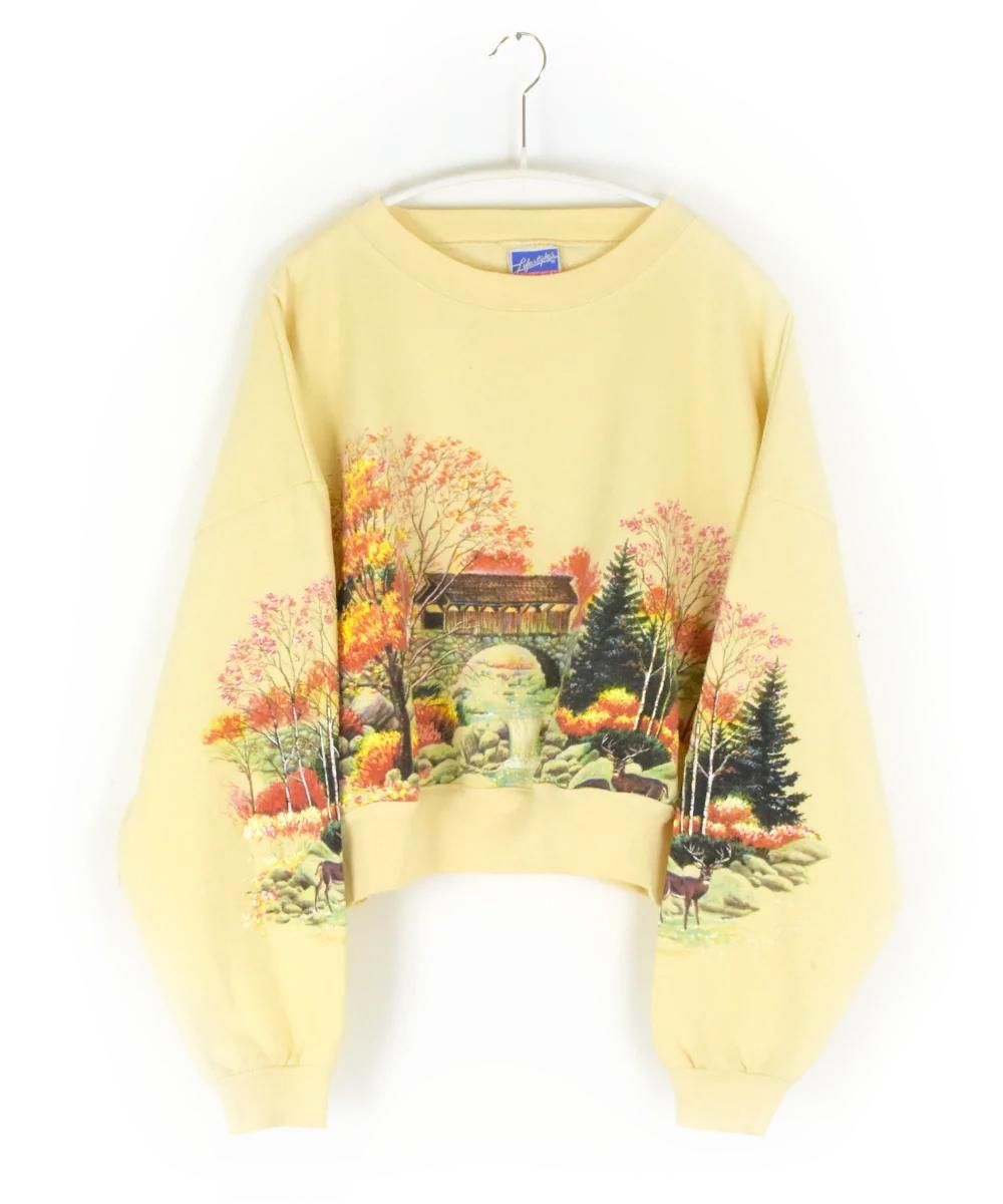 P-11RAYDYCrop Top U.S. Vintage Remake Sweat #33<img class='new_mark_img2' src='https://img.shop-pro.jp/img/new/icons8.gif' style='border:none;display:inline;margin:0px;padding:0px;width:auto;' />