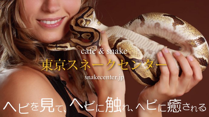 冷凍ラット 30サイズ | - cafe & snake - 東京スネークセンター