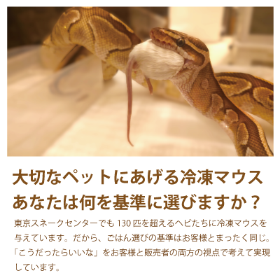冷凍リタイアマウス | 東京スネークセンター