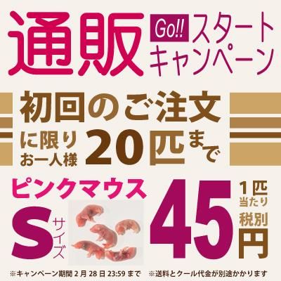 通販スタートキャンペーン 冷凍ピンクマウス Sサイズ Cafe Snake 東京スネークセンター 通販スタートキャンペーン 冷凍ピンクマウス Sサイズ Cafe Snake 東京スネークセンター