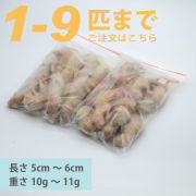 ����ԥ󥯥�åȡ�1ɤ��9ɤ����ʸ