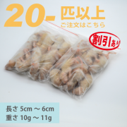 ����ԥ󥯥�åȡ�20ɤ�ʾ�ڳ�������