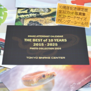 ������̵����10��ǯ��ǰ�ե��ȥ��쥯����󡡥�������2026�դ�<img class='new_mark_img2' src='https://img.shop-pro.jp/img/new/icons15.gif' style='border:none;display:inline;margin:0px;padding:0px;width:auto;' />