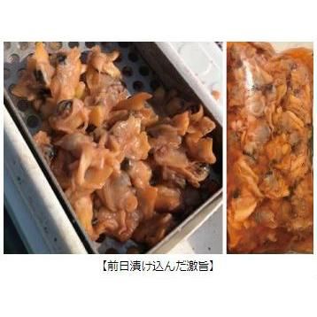 ダイワ アミノソルト 激旨 ダイワ アミノソルト 激旨