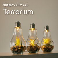 電球型インテリアテーブルライト　Terrarium