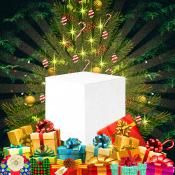 <p>CHRISTMAS BOX 11</p>